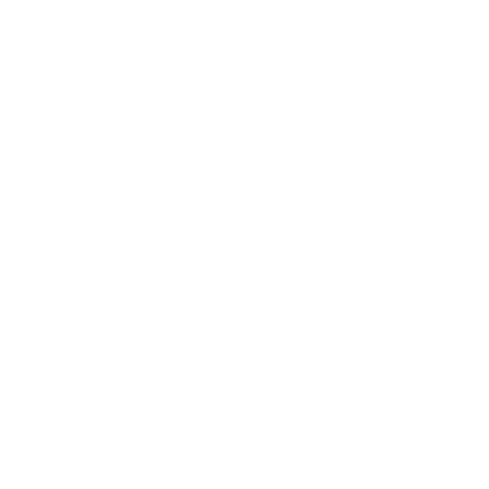 efs Icon