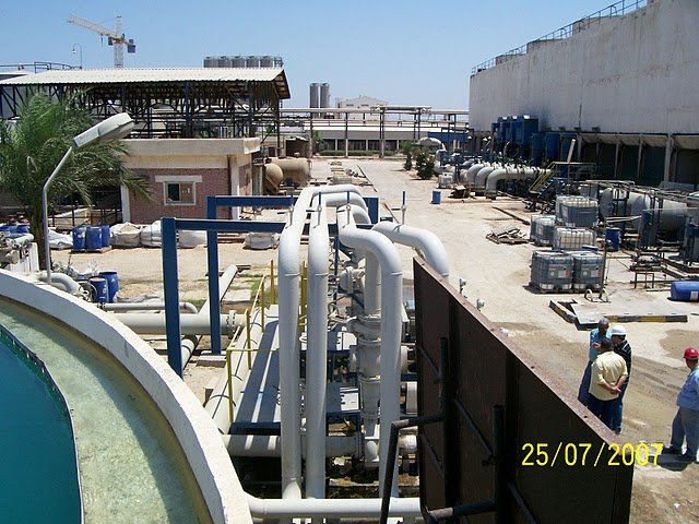 Project Image 7