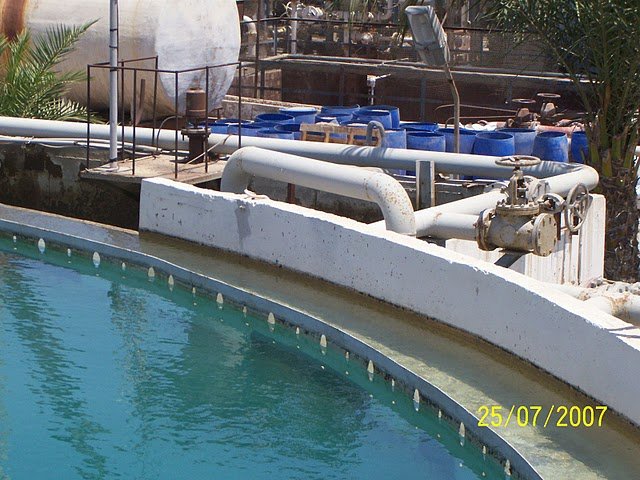 Project Image 8